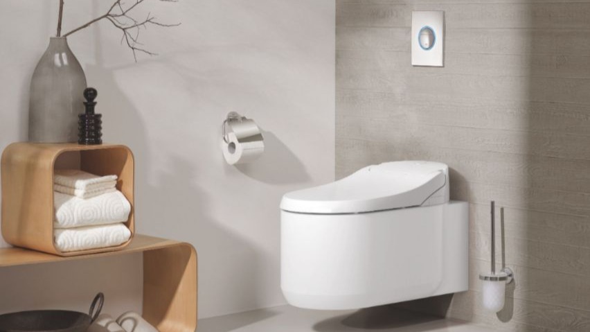 Tendances dans les toilettes