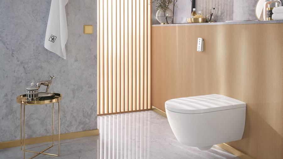 Toilettes: l'hygiène avant tout!