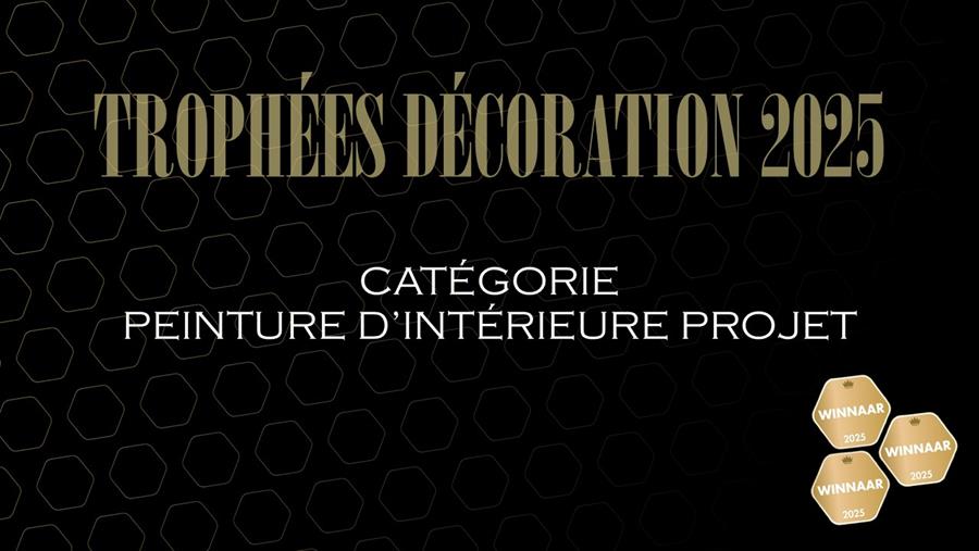 Découvrez les nominés dans la catégorie Peinture d'Intérieure Projet